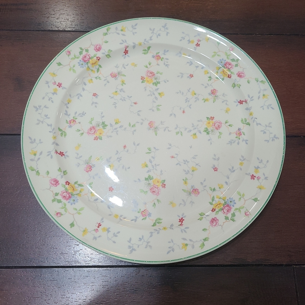 Vintage Taylor Smith China Plate